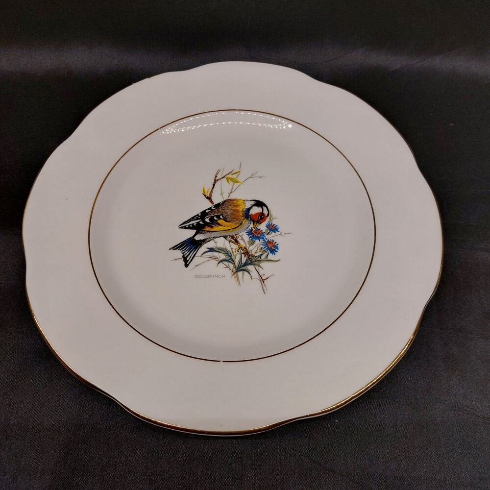 Goldfinch Fine Bone China Plate By Rosina China Co. Ltd